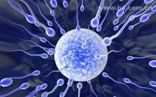 2025年在双鸭山市做试管婴儿费用多少？成功率如何？